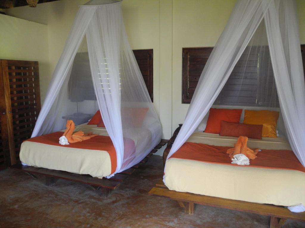 Sol Caribe Hotell Punta Allen Rom bilde