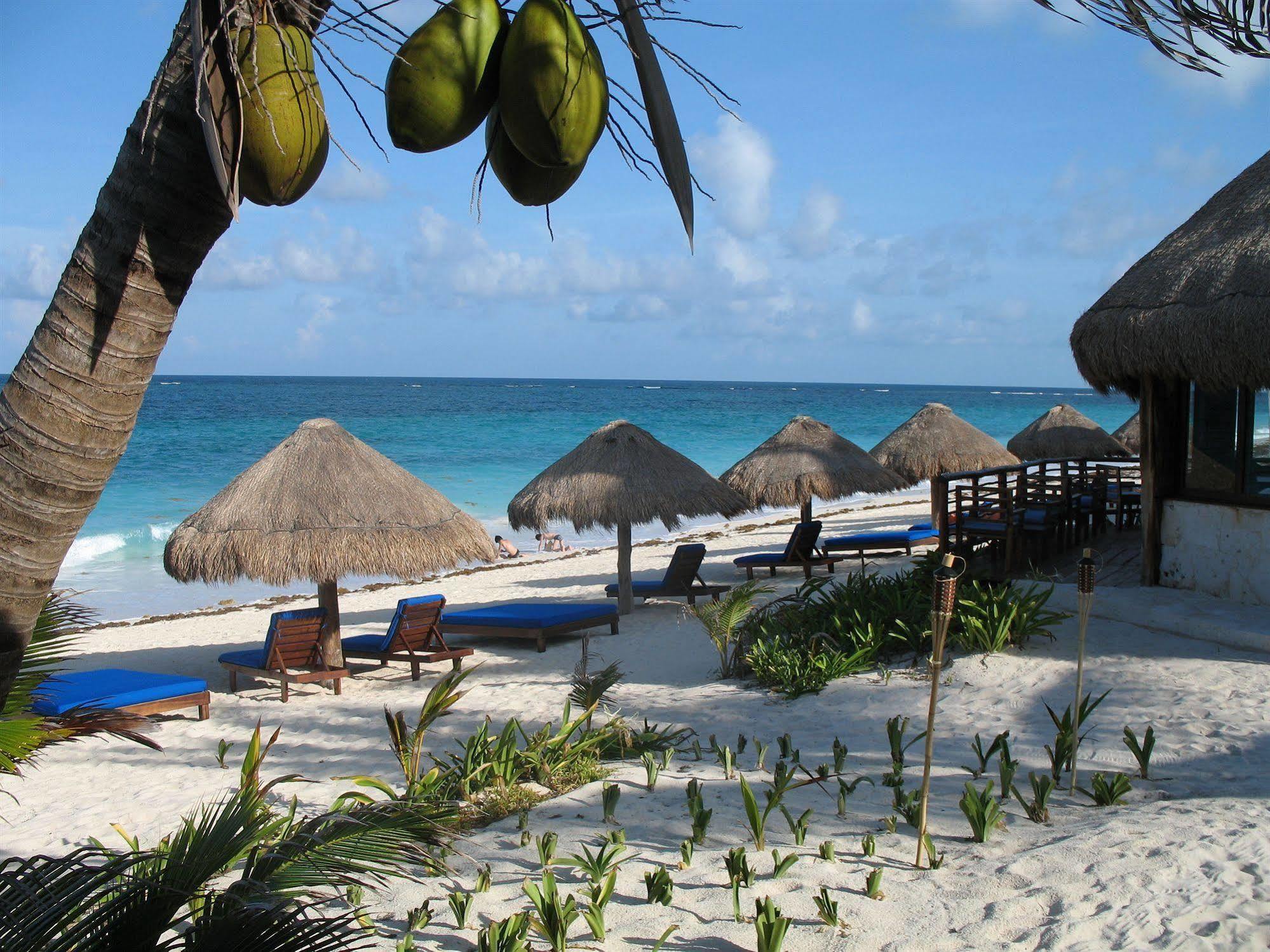 Sol Caribe Hotell Punta Allen Eksteriør bilde