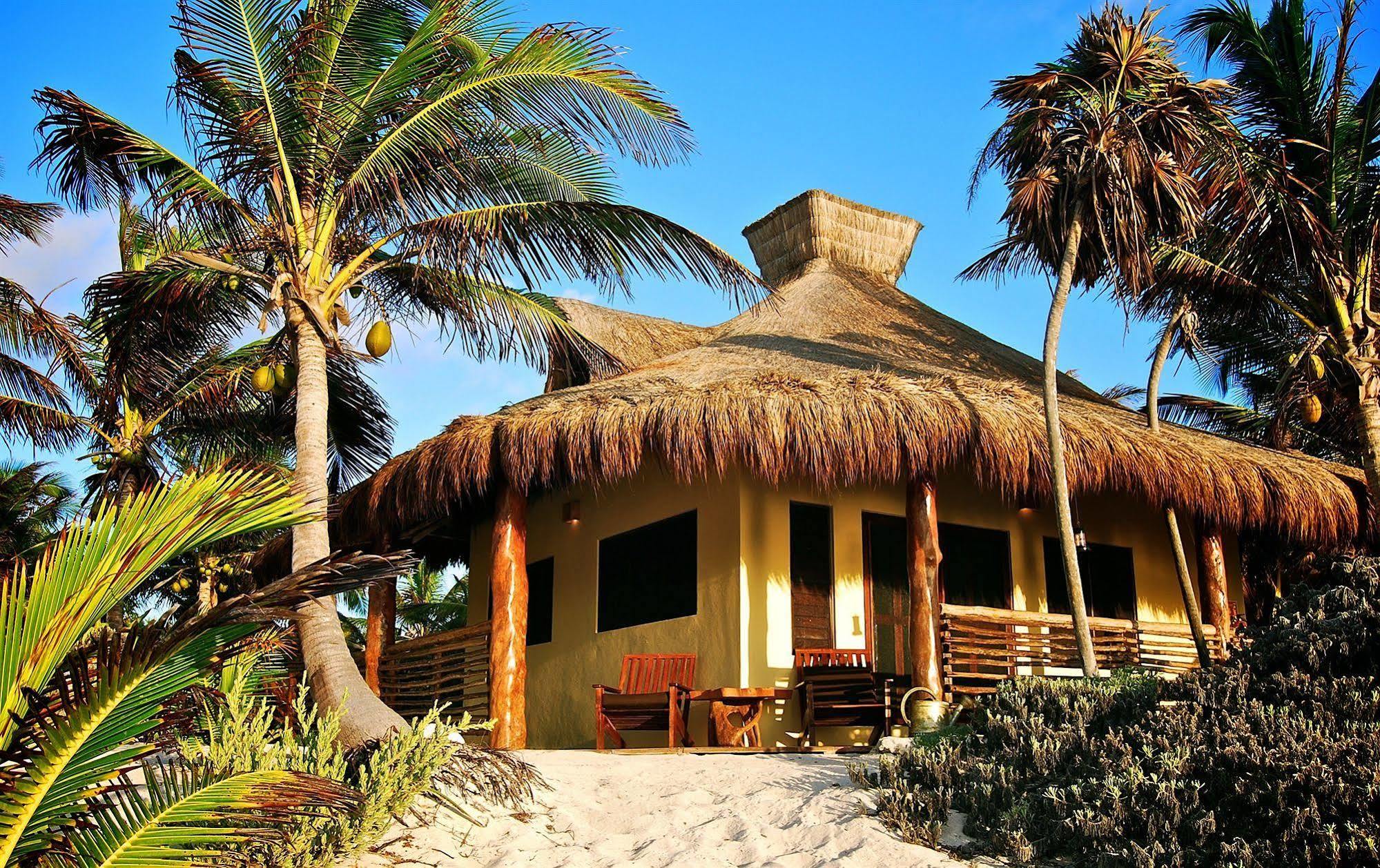 Sol Caribe Hotell Punta Allen Eksteriør bilde